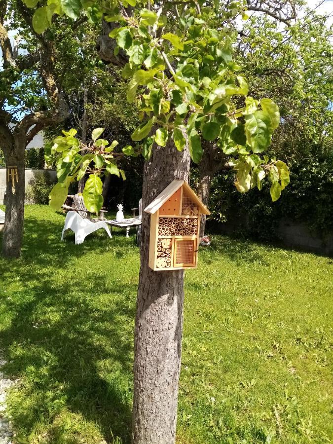 O Douceurs Sucrees Cabourg Bed & Breakfast Exterior photo